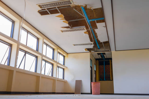 Best 24/7 water damage repair  in Louisville, TN