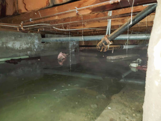 Best Commercial water damage restoration  in Louisville, TN