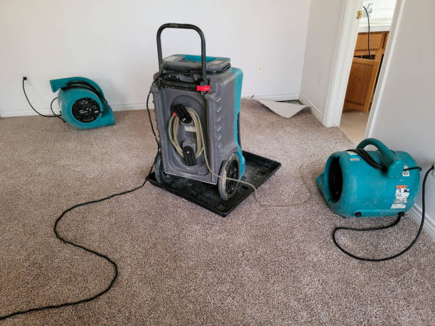 Best Basement water damage restoration  in Louisville, TN