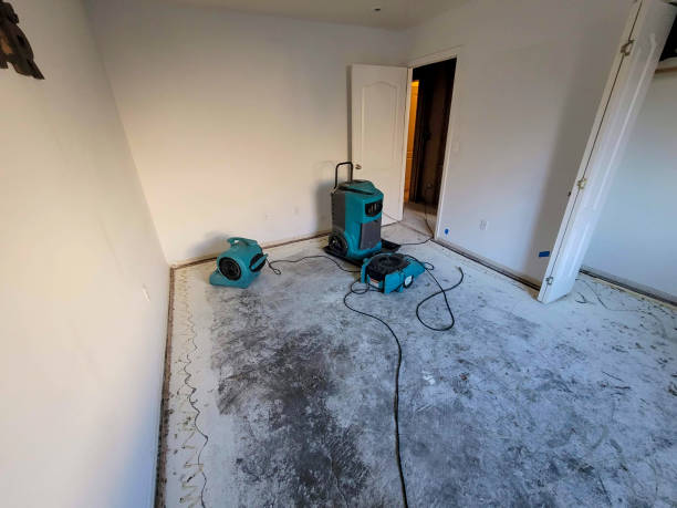 Best Water damage restoration services  in Louisville, TN
