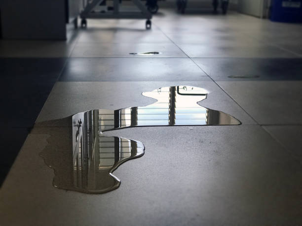 Best Commercial water damage restoration  in Louisville, TN
