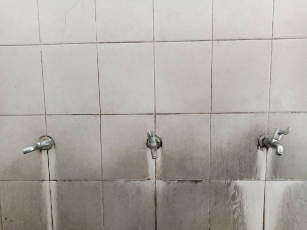 Best Water damage contractors near me  in Louisville, TN