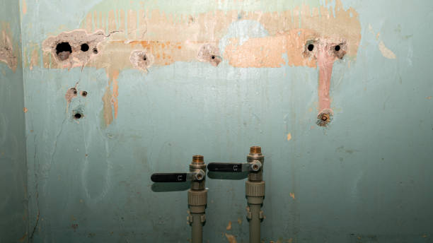 Best Sewage cleanup and water damage restoration  in Louisville, TN