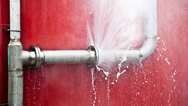 Best Ceiling water damage repair  in Louisville, TN